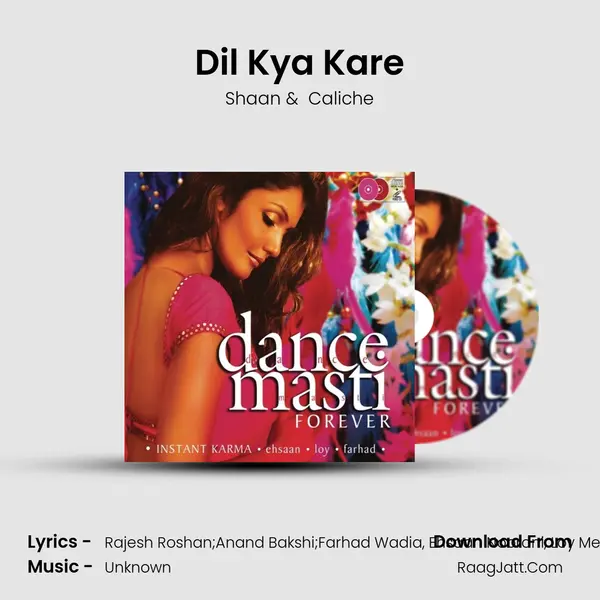 Dil Kya Kare MP3 Song by Shaan Cover