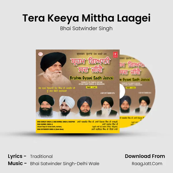Tera Keeya Mittha Laagei MP3 Song by Bhai Satwinder Singh Cover