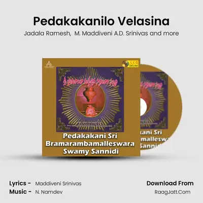 Pedakakanilo Velasina MP3 Song by Jadala Ramesh Cover