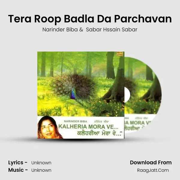 Tera Roop Badla Da Parchavan MP3 Song by Narinder Biba Cover