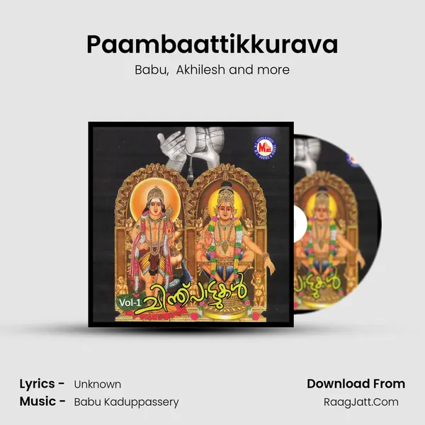 Paambaattikkurava MP3 Song by Babu Cover