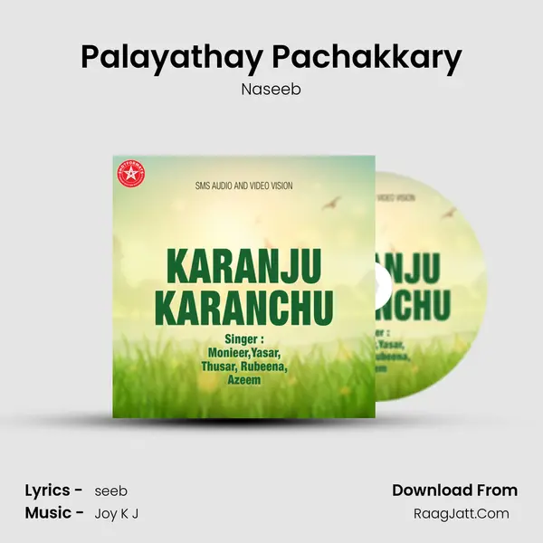 Palayathay Pachakkary MP3 Song by Naseeb Cover