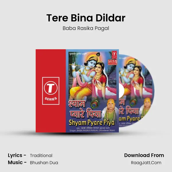 Tere Bina Dildar MP3 Song by Baba Rasika Pagal Cover