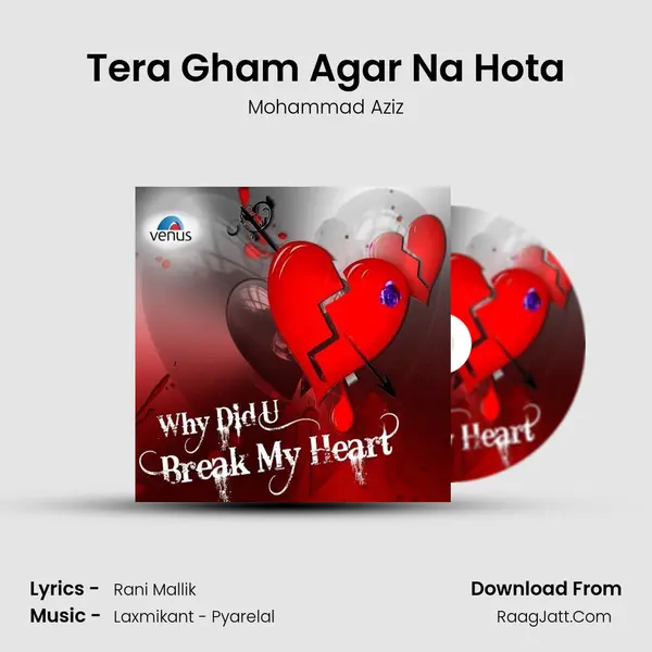 Tera Gham Agar Na Hota Cover