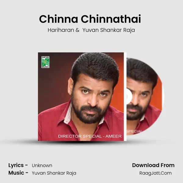 Chinna Chinnathai (From "Mounam Pesiyathe") Cover