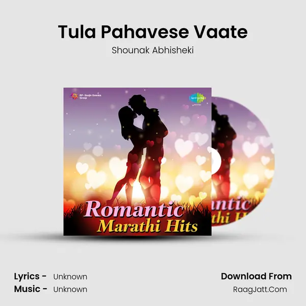 Tula Pahavese Vaate Cover