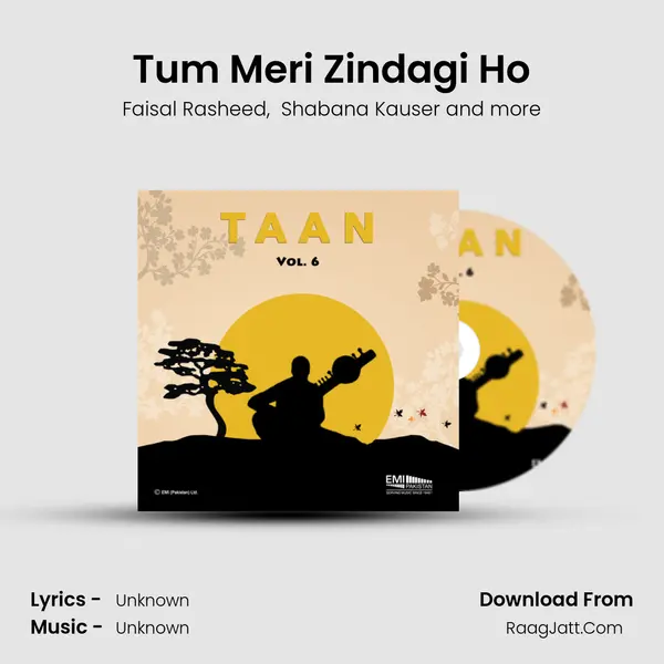 Tum Meri Zindagi Ho MP3 Song by Faisal Rasheed Cover