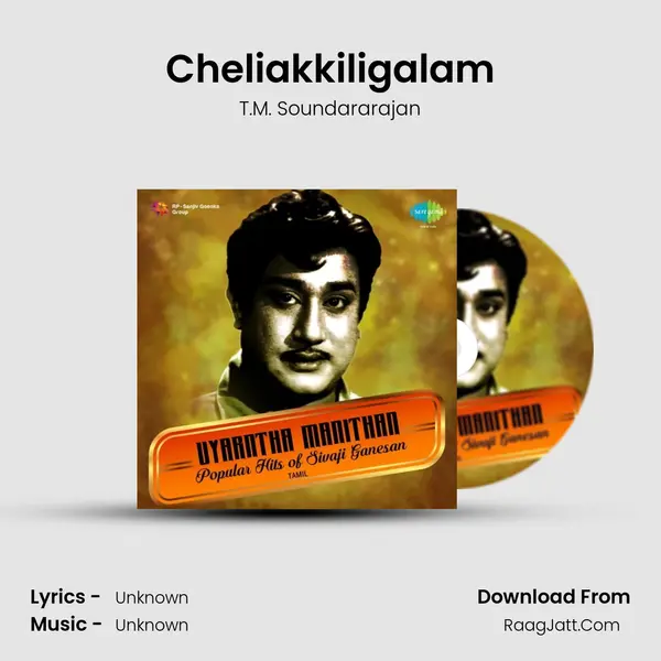 Cheliakkiligalam MP3 Song by T.M. Soundararajan Cover