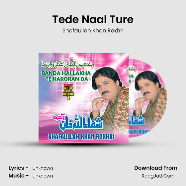 Tede Naal Ture MP3 Song by Shafaullah Khan Rokhri Cover
