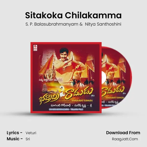 Sitakoka Chilakamma MP3 Song by S. P. Balasubrahmanyam Cover