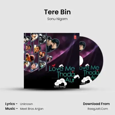 Tere Bin MP3 Song by Sonu Nigam Cover