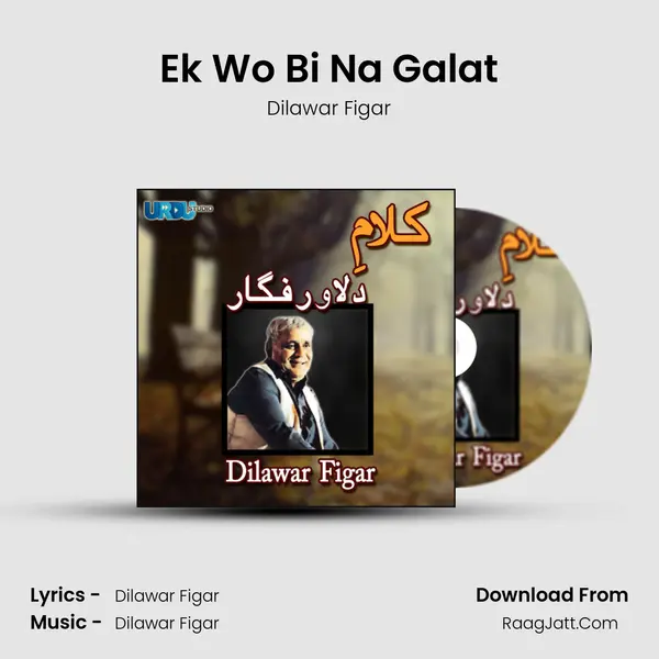 Ek Wo Bi Na Galat MP3 Song by Dilawar Figar Cover