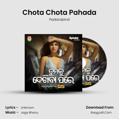 Chota Chota Pahada mp3 song