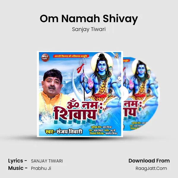 Om Namah Shivay Cover