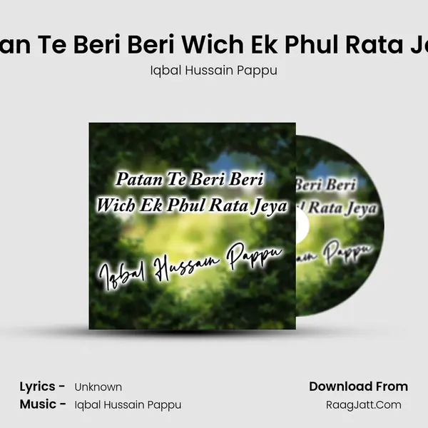 Patan Te Beri Beri Wich Ek Phul Rata Jeya MP3 Song by Iqbal Hussain Pappu Cover