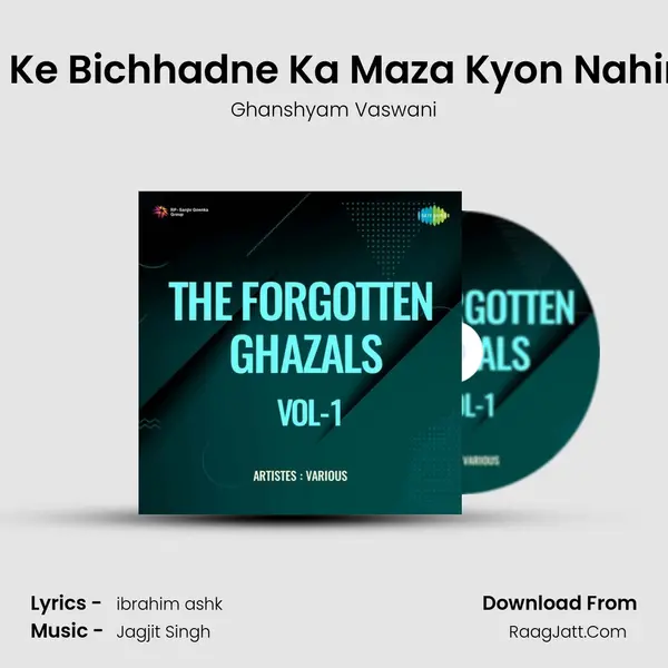 Mil Mil Ke Bichhadne Ka Maza Kyon Nahin Dete MP3 Song by Ghanshyam Vaswani Cover