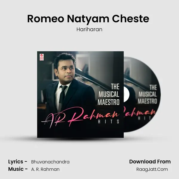 Romeo Natyam Cheste (From "Mr. Romeo") Cover
