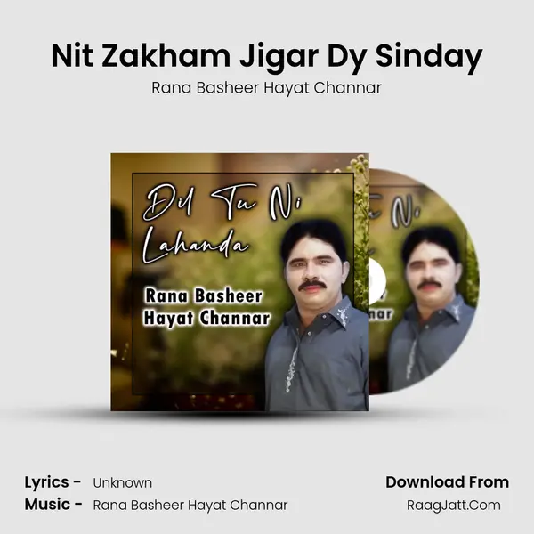 Nit Zakham Jigar Dy Sinday Cover