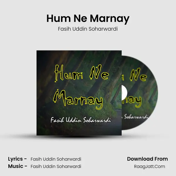 Hum Ne Marnay MP3 Song by Fasih Uddin Soharwardi Cover