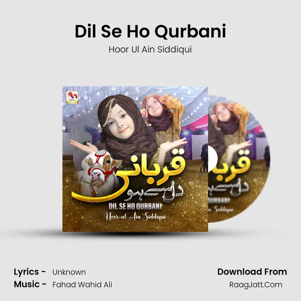 Hoor Ul Ain Siddiqui