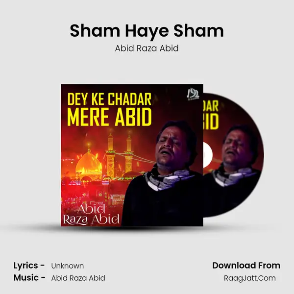 Sham Haye Sham MP3 Song by Abid Raza Abid Cover