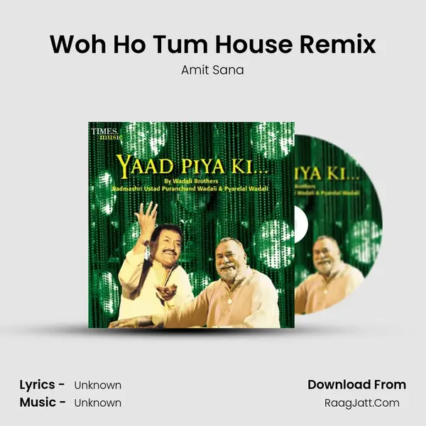 Woh Ho Tum House Remix MP3 Song by Amit Sana Cover