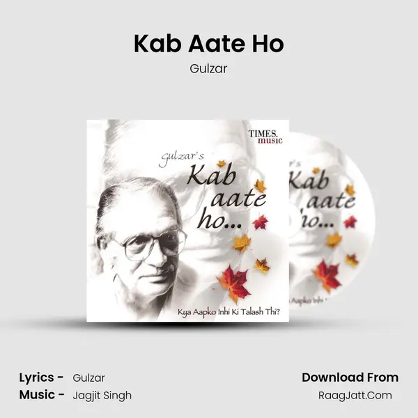 Kab Aate Ho MP3 Song by Gulzar Cover