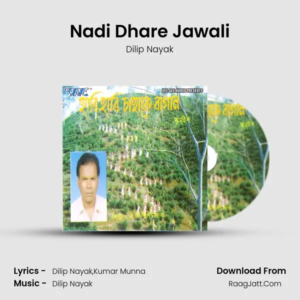 Nadi Dhare Jawali MP3 Song by Dilip Nayak Cover