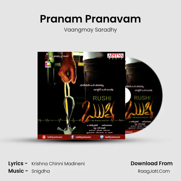 Pranam Pranavam MP3 Song by Vaangmay Saradhy Cover