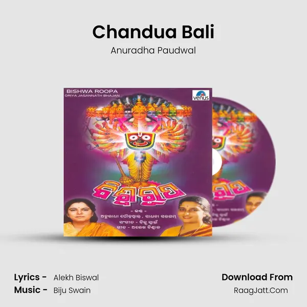 Chandua Bali MP3 Song by Anuradha Paudwal Cover