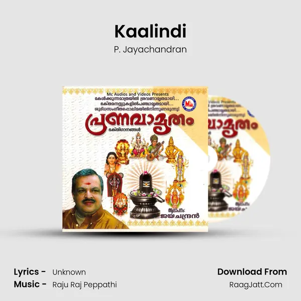 Kaalindi MP3 Song by P. Jayachandran Cover