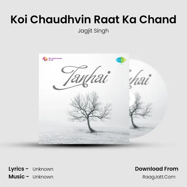 Koi Chaudhvin Raat Ka Chand MP3 Song by Jagjit Singh Cover