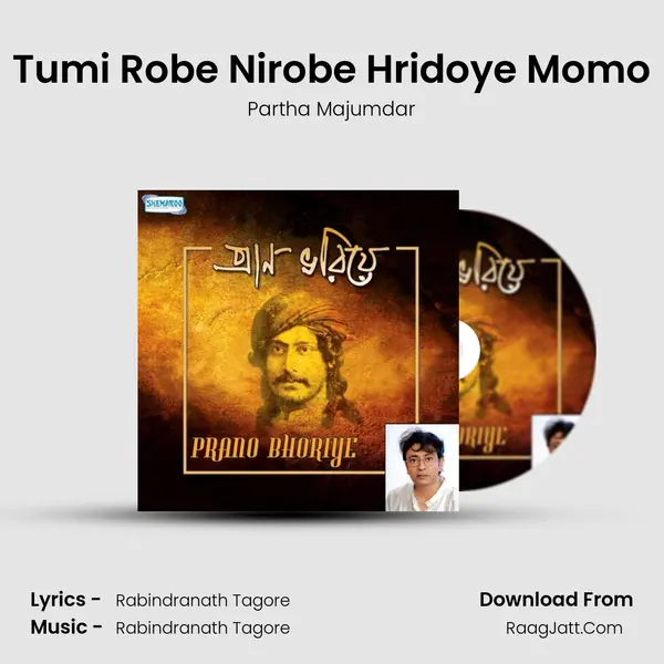 Tumi Robe Nirobe Hridoye Momo MP3 Song by Partha Majumdar Cover