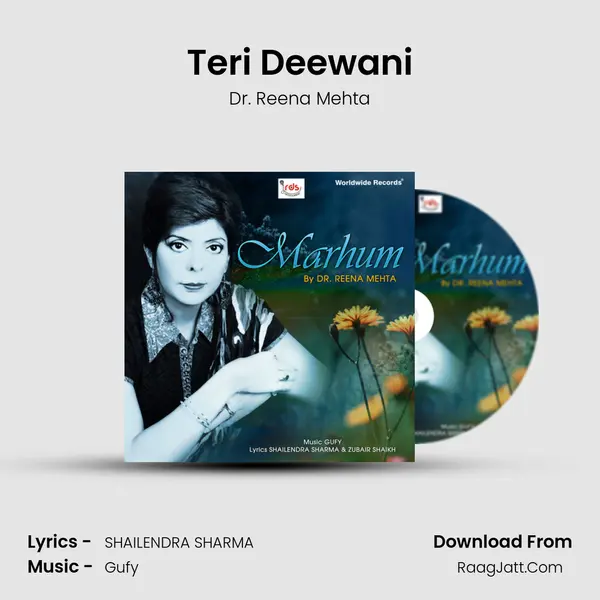 Teri Deewani MP3 Song by Dr. Reena Mehta Cover