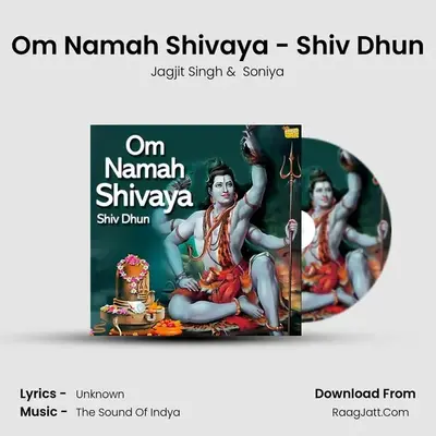Om Namah Shivaya - Shiv Dhun - Jagjit Singh