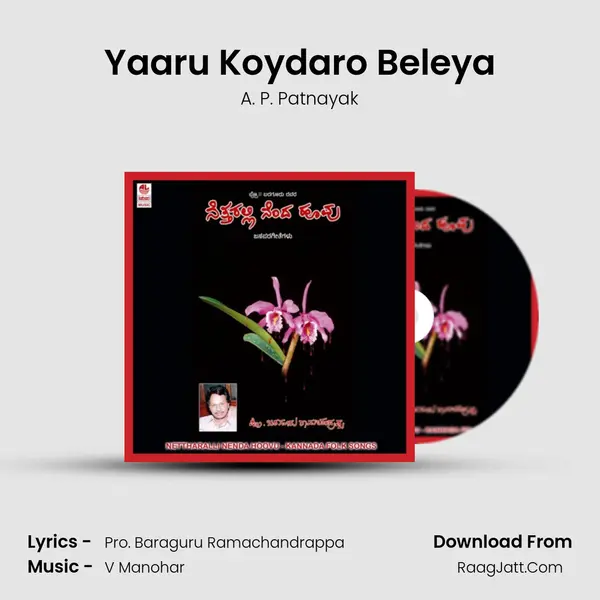 Yaaru Koydaro Beleya MP3 Song by A. P. Patnayak Cover