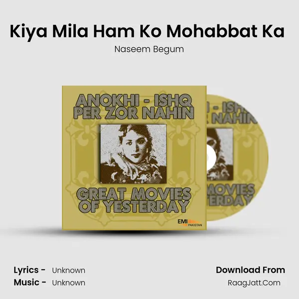 Kiya Mila Ham Ko Mohabbat Ka (From 