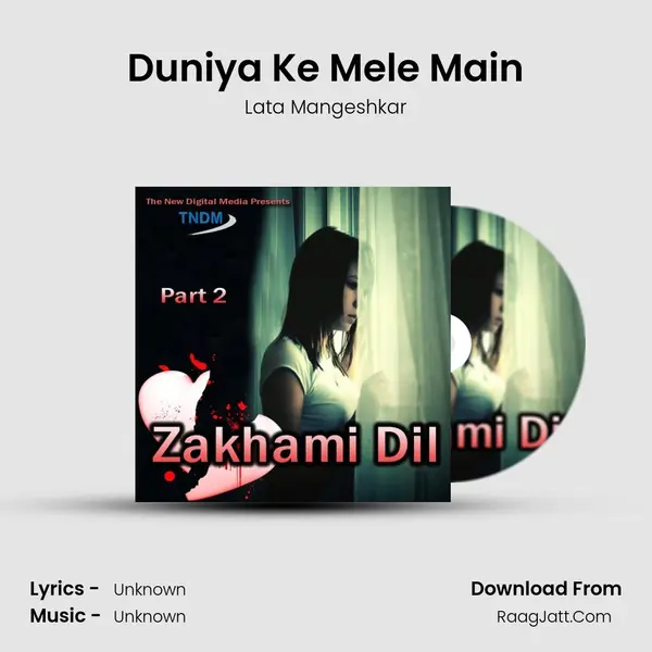 Duniya Ke Mele Main MP3 Song by Lata Mangeshkar Cover