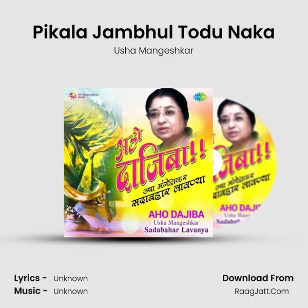 Pikala Jambhul Todu Naka Cover