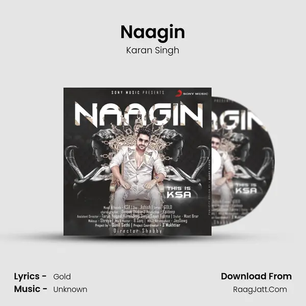 Naagin MP3 Song by Karan Singh Cover