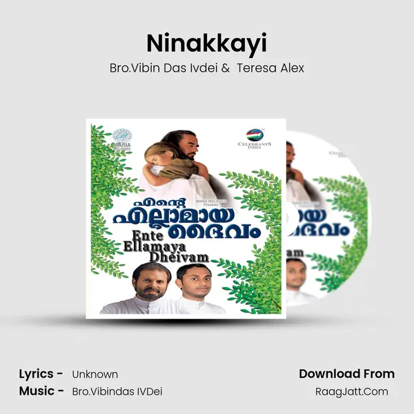 Ninakkayi MP3 Song by Bro.Vibin Das Ivdei Cover