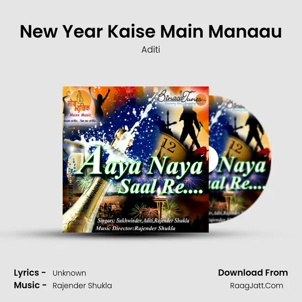 New Year Kaise Main Manaau Cover