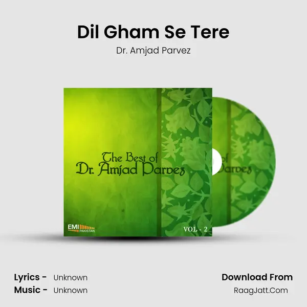 Dil Gham Se Tere MP3 Song by Dr. Amjad Parvez Cover