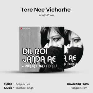 Tere Nee Vichorhe (From "Tere Nee Vichorhe") Cover