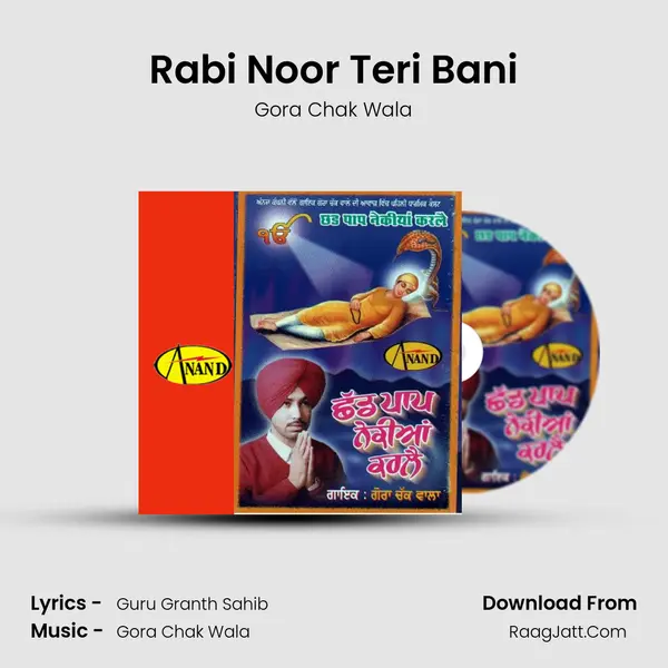 Rabi Noor Teri Bani MP3 Song by Gora Chak Wala Cover