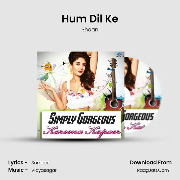 Hum Dil Ke MP3 Song by Shaan Cover