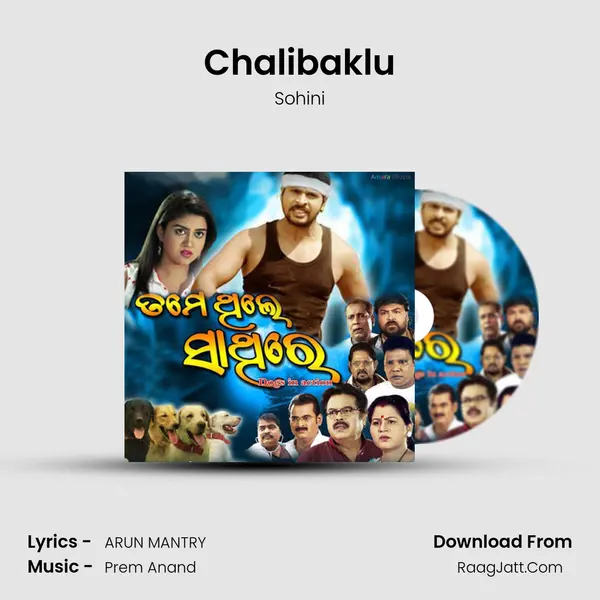 Chalibaklu MP3 Song by Sohini Cover