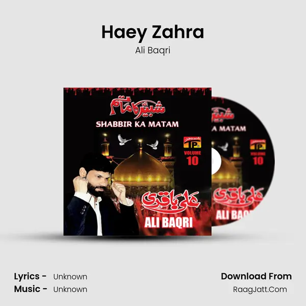 Haey Zahra MP3 Song by Ali Baqri Cover