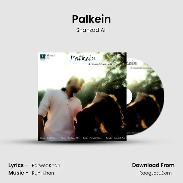 Palkein MP3 Song by Shahzad Ali Cover