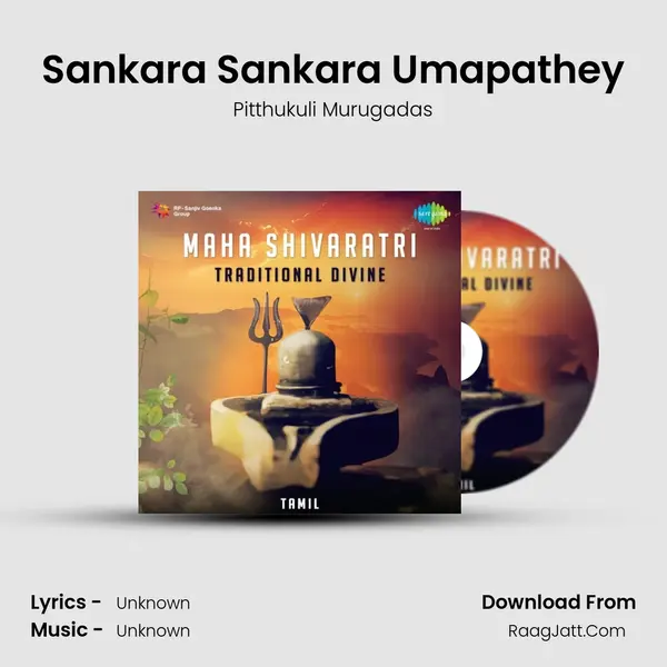 Sankara Sankara Umapathey MP3 Song by Pitthukuli Murugadas Cover